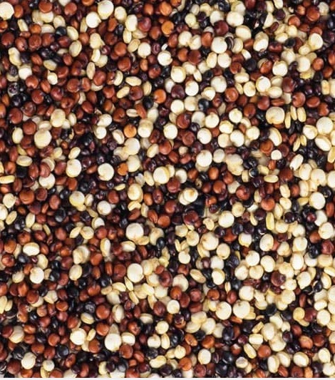 quinoa colors
