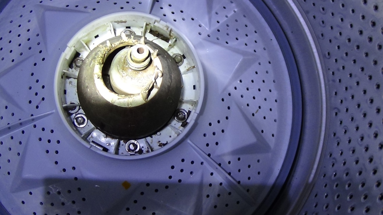 clothes washer