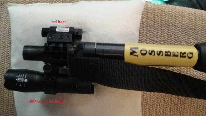 shotgun with laser and flashlight