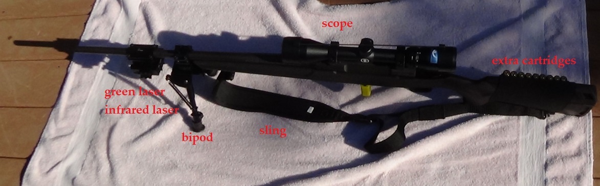 rifle with laser  